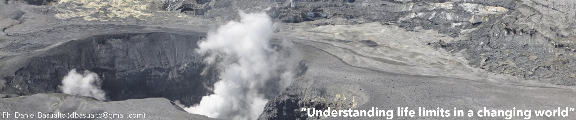 banner1