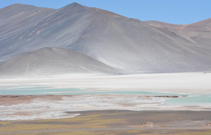 The curious similarities and differences between the microorganisms of the Antarctic and the Atacama desert